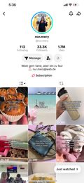 USA TikTok account 33k followers