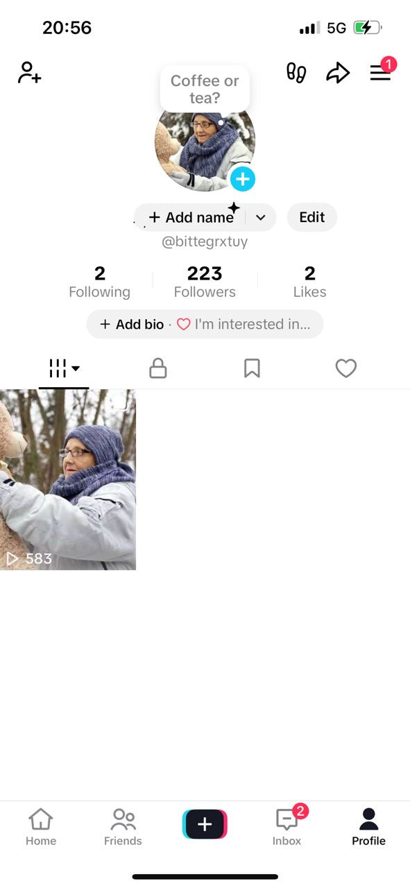 TikTok 200 followers