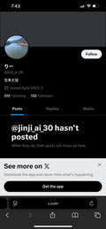 X 133 followers