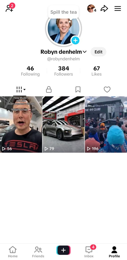 TikTok account 300 followers