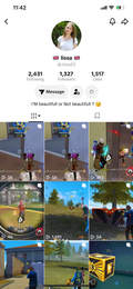 USA TikTok 1k followers