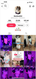 USA TikTok 23k followers
