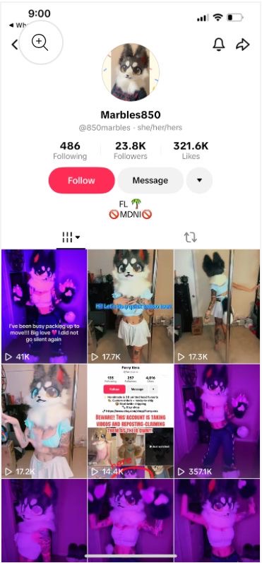 USA TikTok 23k followers